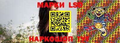 прущие грибы Кингисепп
