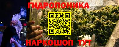 прущие грибы Кингисепп