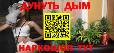 прущие грибы Кингисепп