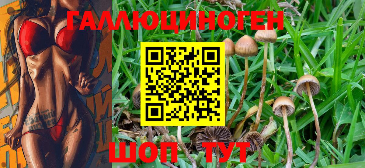 Псилоцибиновые грибы Cubensis  Вход с VPN  Коркино  Псилоцибиновые грибы Psilocybe 